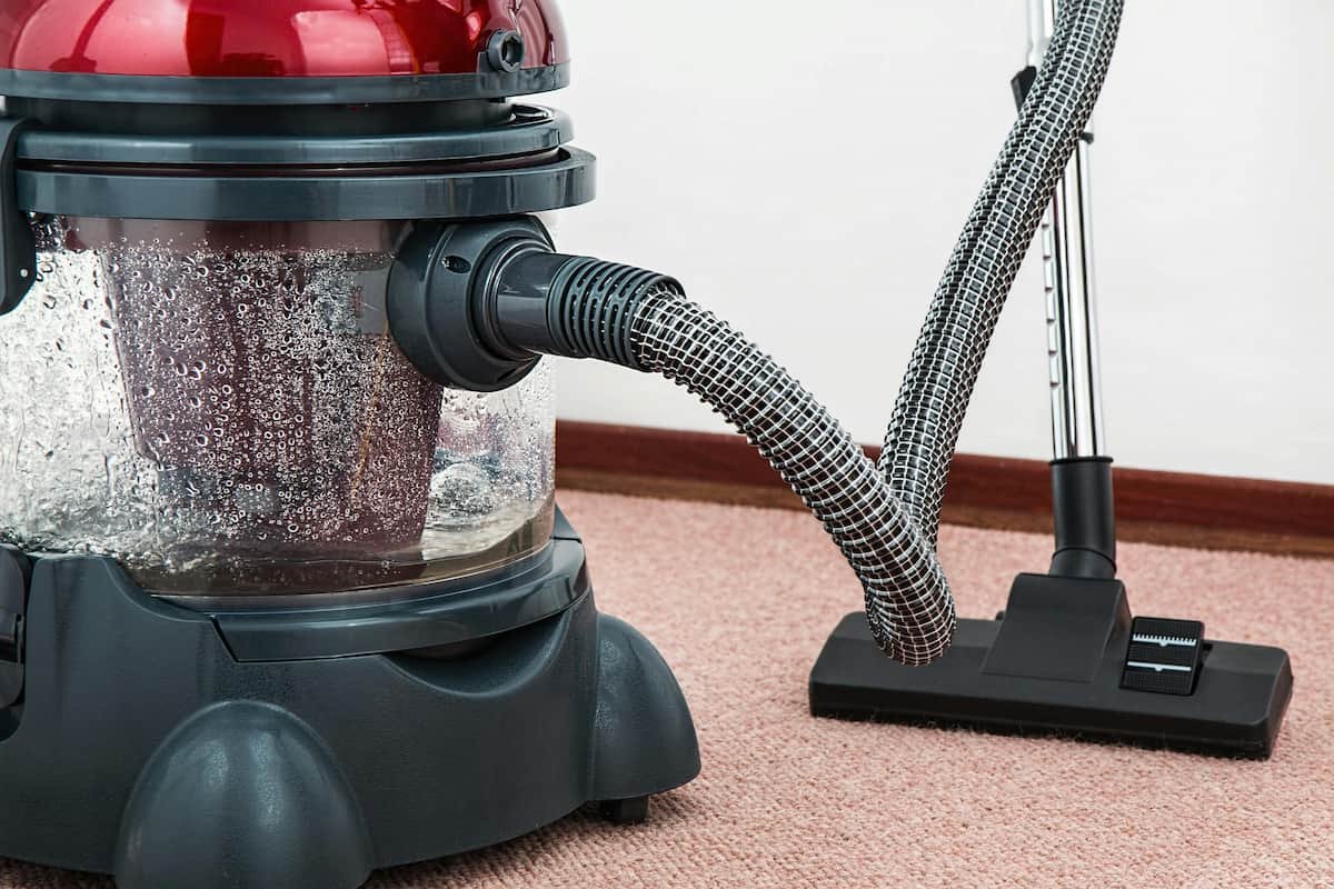 A close-up of a carpet steam cleaner with a transparent water tank, used for deep carpet cleaning.